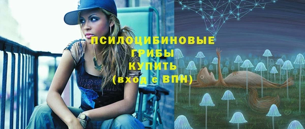 PSILOCYBIN Алзамай