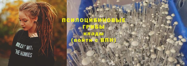 PSILOCYBIN Алзамай