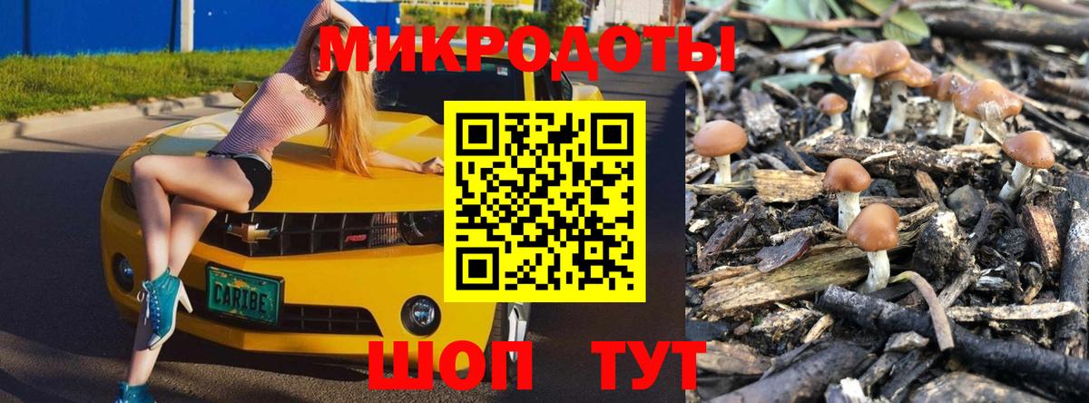 Десногорск  Галлюциногенные грибы прущие грибы  наркота  Вход с VPN  Галлюциногенные грибы Psilocybe 